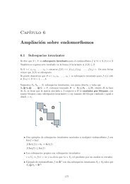 Cap´ıtulo 6 Ampliación sobre endomorfismos