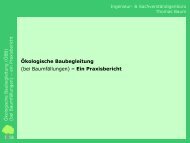 Ökologische Baubegleitung (bei Baumfällungen) – Ein Praxisbericht