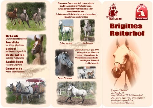 Flyer von Brigittes Reiterhof zum Download