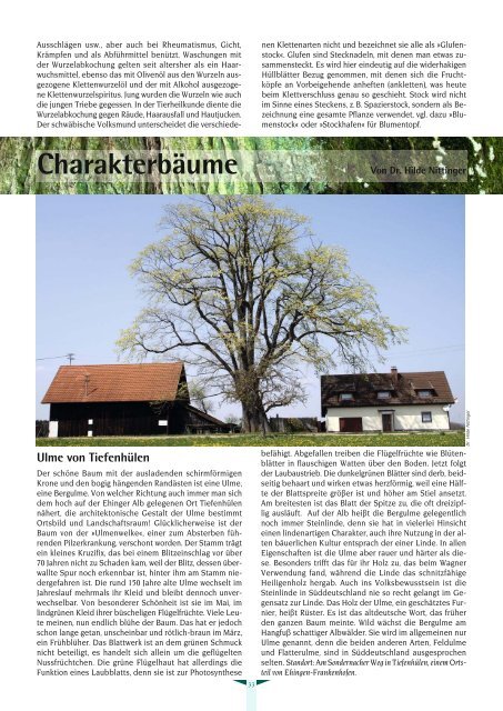 Albvereinsblatt_2011-03.pdf