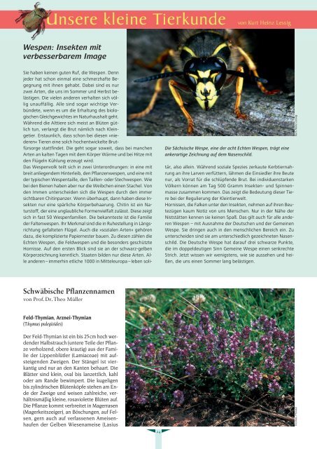 Albvereinsblatt_2010-5.pdf