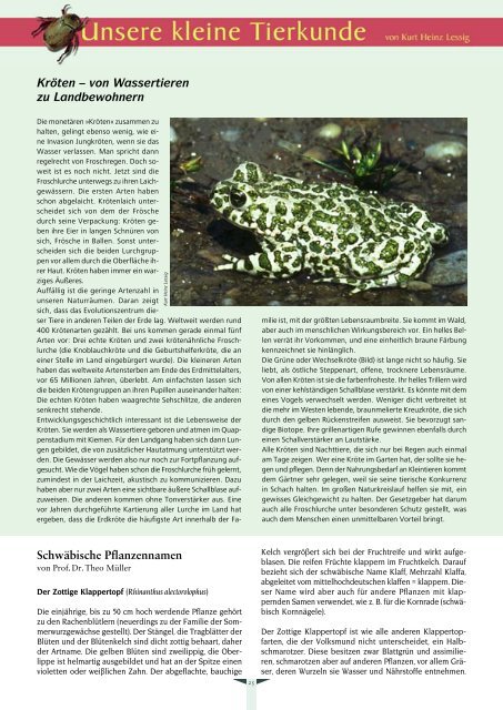 Albvereinsblatt_2009-2.pdf