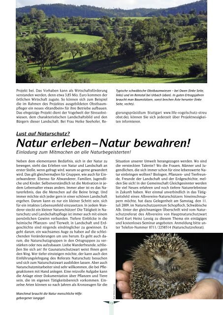 Albvereinsblatt_2009-4.pdf