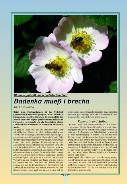 Albvereinsblatt_2003-5.pdf