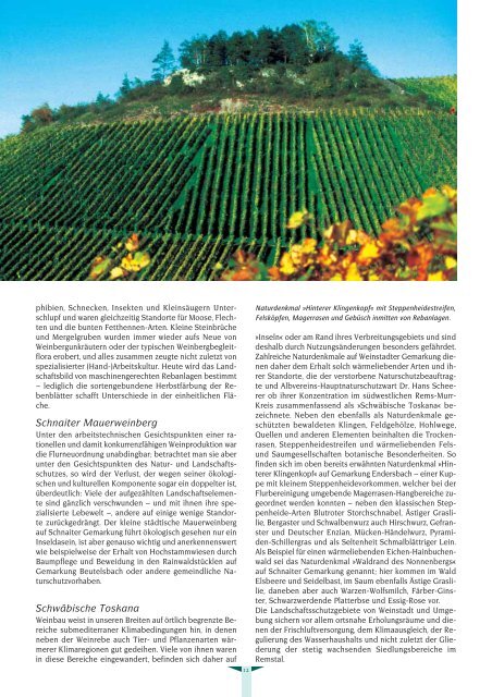 Albvereinsblatt_2007-2.pdf