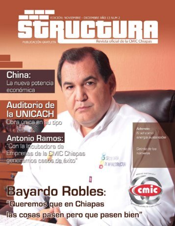 Revista Structura Segunda Edición - 2013