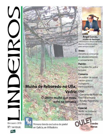 Lindeiros  Decembro 2013 L7  web .pdf