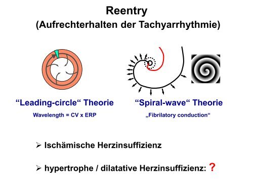 bei der Herzinsuffizienz