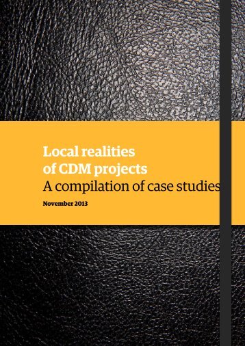 Local realities of CDM projects – A compilation of case studies