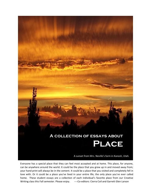 A Collection of Essays About PLACE