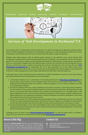 Services of Web Development in Richmond VA