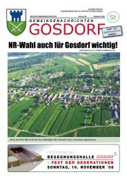 Ausgabe September 2008 - Gosdorf