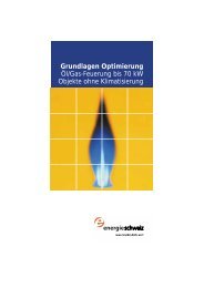 Grundlagen Optimierung Öl/Gas-Feuerung bis 70 kW Objekte ohne ...