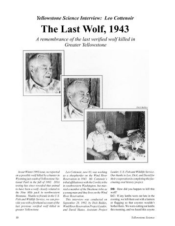The Last Wolf, 1943 - Greater Yellowstone Science Learning Center