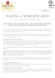 CASTEL AT VINEXPO 2013 - Groupe CASTEL