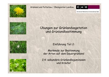 Kräuter - Grünland und Futterbau/Ökologischer Landbau