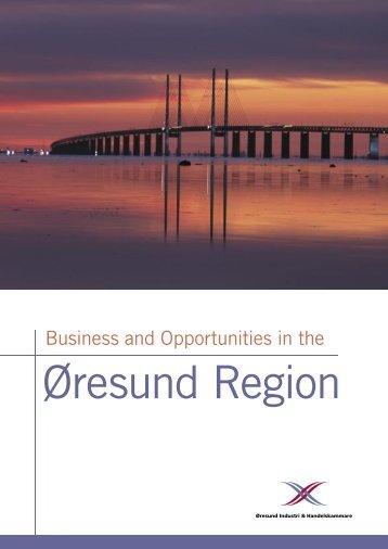 Business and Opportunities in the - Sydsvenska Industri och ...