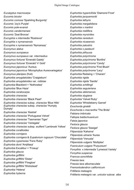 DIGITAL IMAGE CATALOGUE - Hardy Plant Society