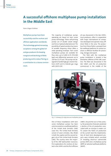 A successful offshore multiphase pump installation in the Middle East