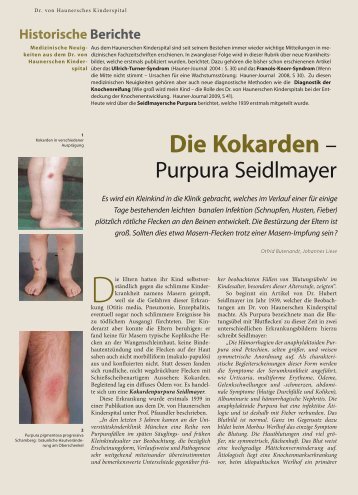 Die Kokarden – - Hauner Journal