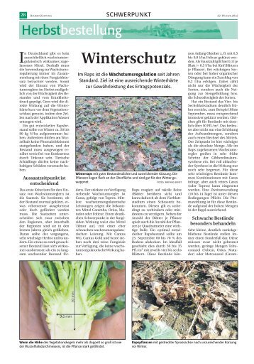 Winterschutz - Im Raps ist die Wachstumsregulation ... - Hanse Agro