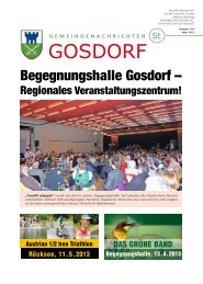 Ausgabe März 2013 - Gosdorf