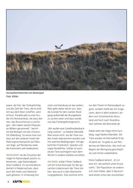 Käpt'n Nomo - Juli 2013 als PDF - Norderney