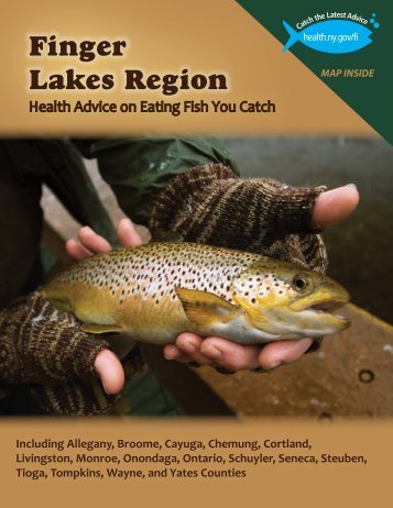 Finger Lakes Region - New York State Department of Health