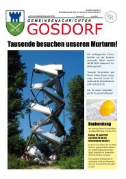 Tausende besuchen unseren Murturm! - Gosdorf