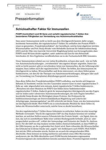 1245 Schicksalhafter Faktor fuer Immunzellen - Helmholtz-Zentrum ...