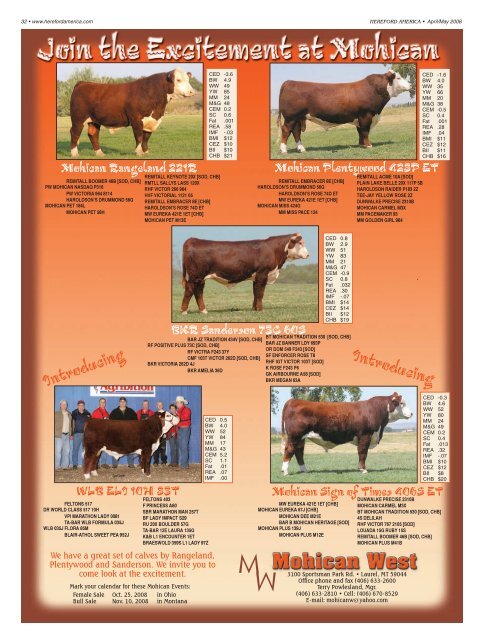 April/May 2008 Issue (pdf - 7794 kb)... - Hereford America