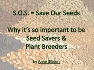 Seed Saving Presentation.pdf - Green Journey