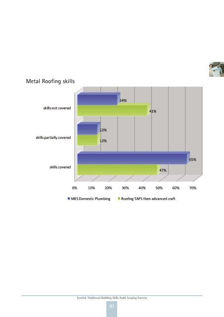 Scottish Traditional Building Skills Audit Scoping ... - Historic Scotland