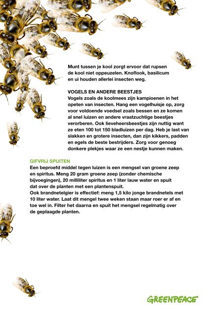Download hier de folder 'Maak van je tuin een bijenparadijs'