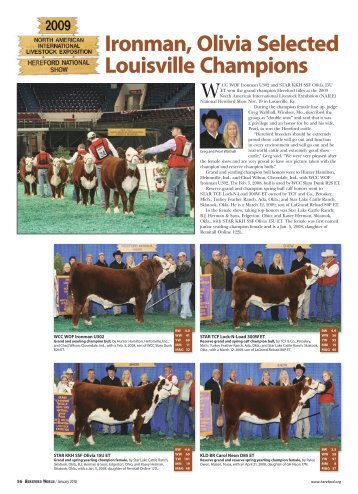 Ironman, Olivia Selected Louisville Champions - American Hereford ...