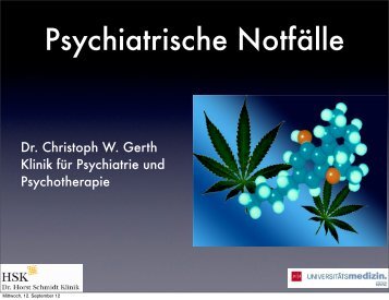 bitte klicken - Dr.-Horst-Schmidt-Kliniken Wiesbaden