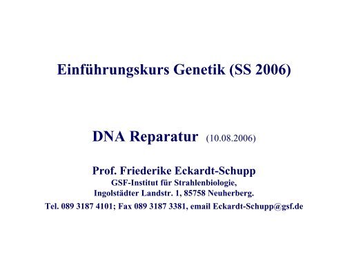 DNA Reparatur