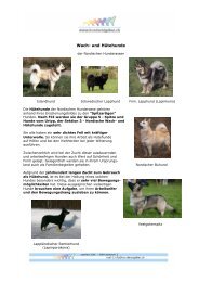PDF Nordische Hunderassen - Hunderatgeber