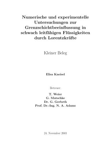 Numerische und experimentelle Untersuchungen zur ... - HZDR