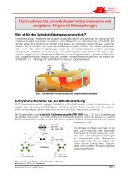 Altersnachweis bei UmweltschÃ¤den mittels chemischer ... - IBL Umwelt