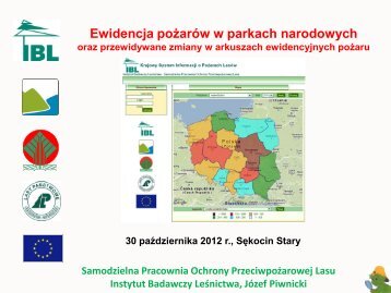 Krajowy System Informacji o Pożarach Lasów - Instytut Badawczy ...