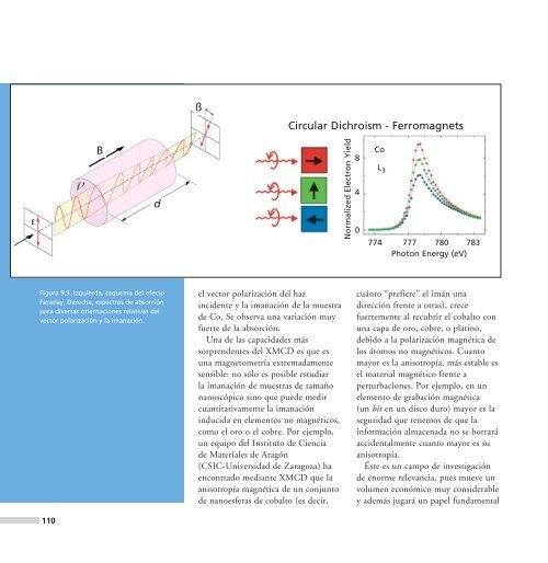 Descarga en PDF - Ciudad Ciencia