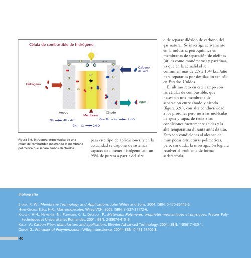 Descarga en PDF - Ciudad Ciencia