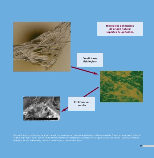 Descarga en PDF - Ciudad Ciencia