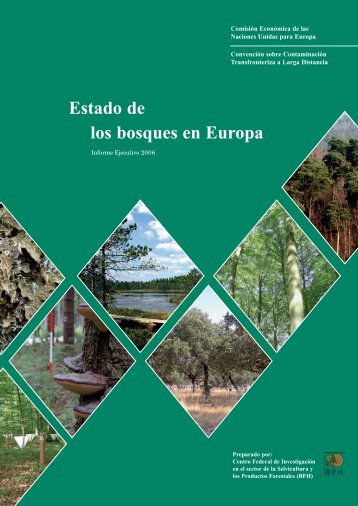 Estado de los bosques en Europa - ICP Forests