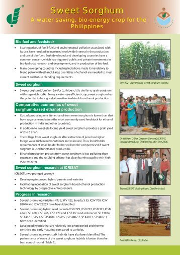 Sweet Sorghum flyer - icrisat