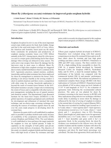 Shoot fly (Atherigona soccata) resistance in improved grain ... - icrisat