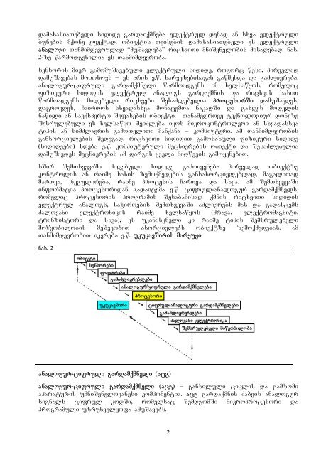 eleqtronuli gazomvebis sawyisebi - ieeetsu