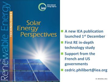 Progress with Renewable Energy Roadmaps - IEA