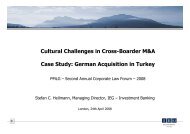 PMLG Case Study German Acquisition In Turkey - IEG Investment ...